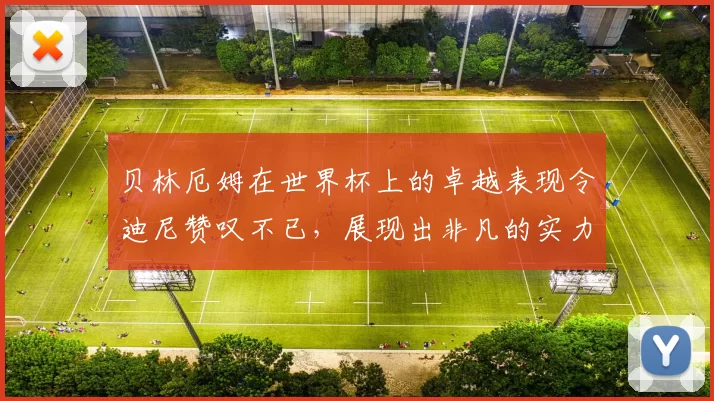 贝林厄姆在世界杯上的卓越表现令迪尼赞叹不已，展现出非凡的实力与魅力
